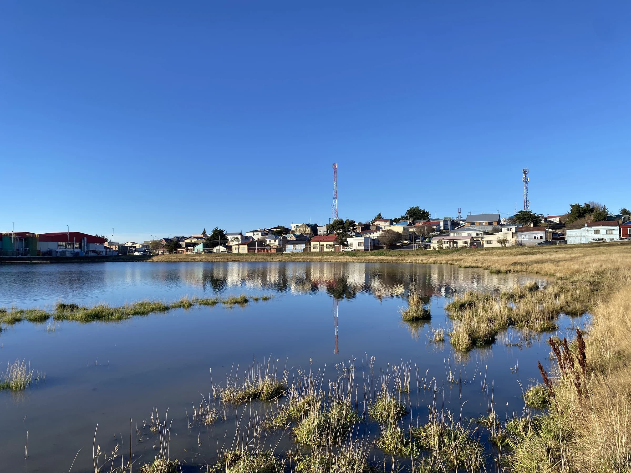 Vista de Humedal Urbano Laguna Pudeto